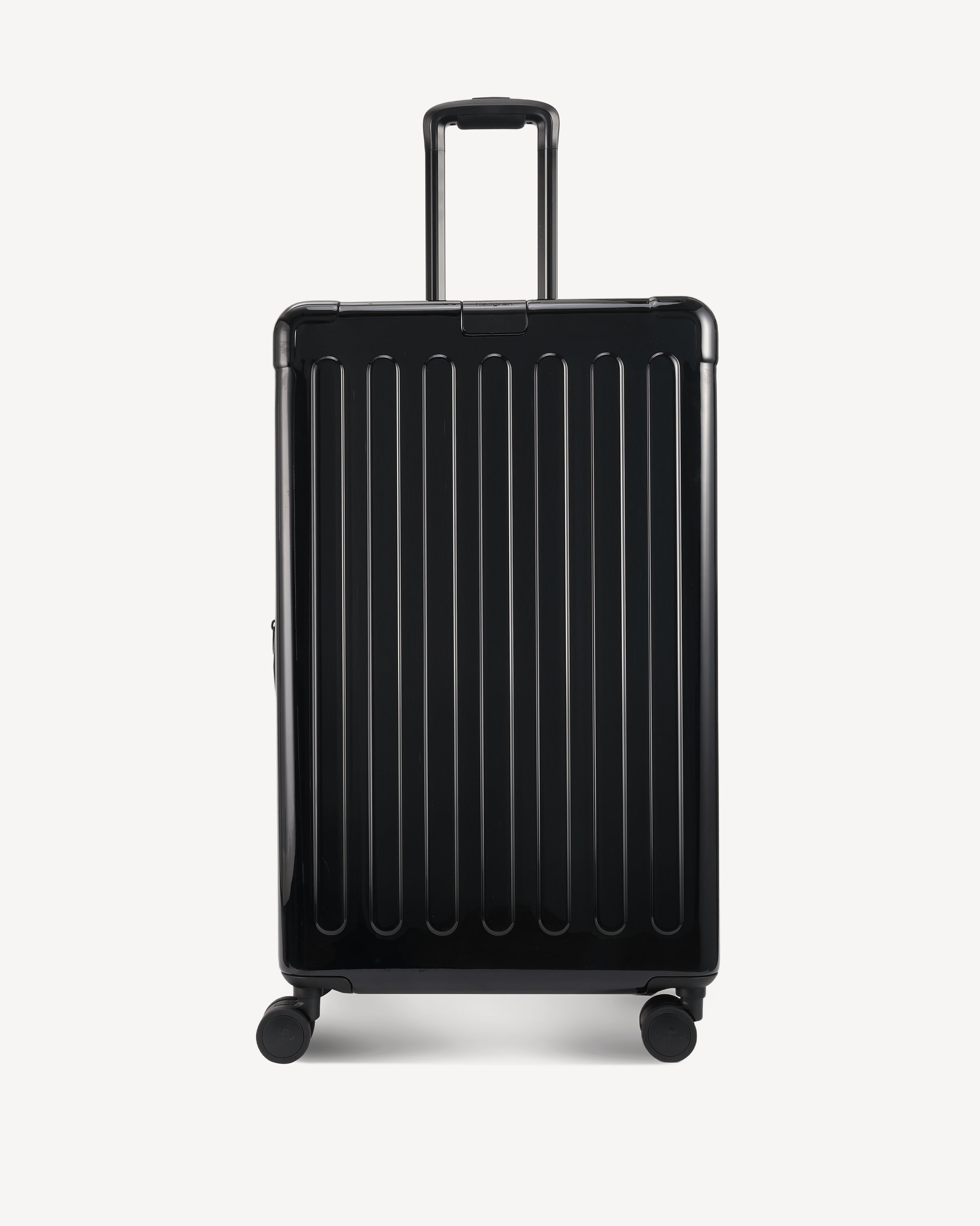 GLOSSY LARGE SPINNER