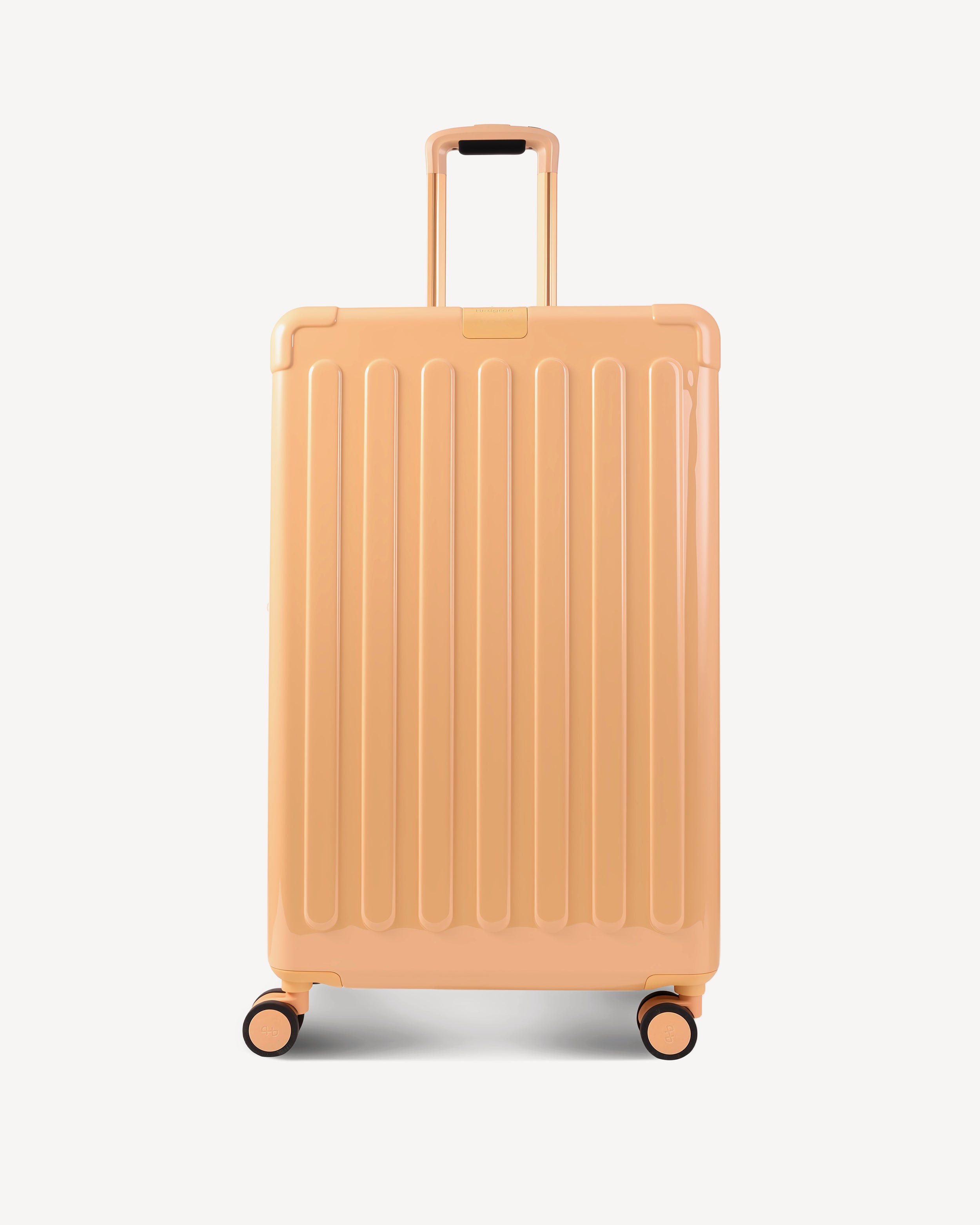 GLOSSY LARGE SPINNER