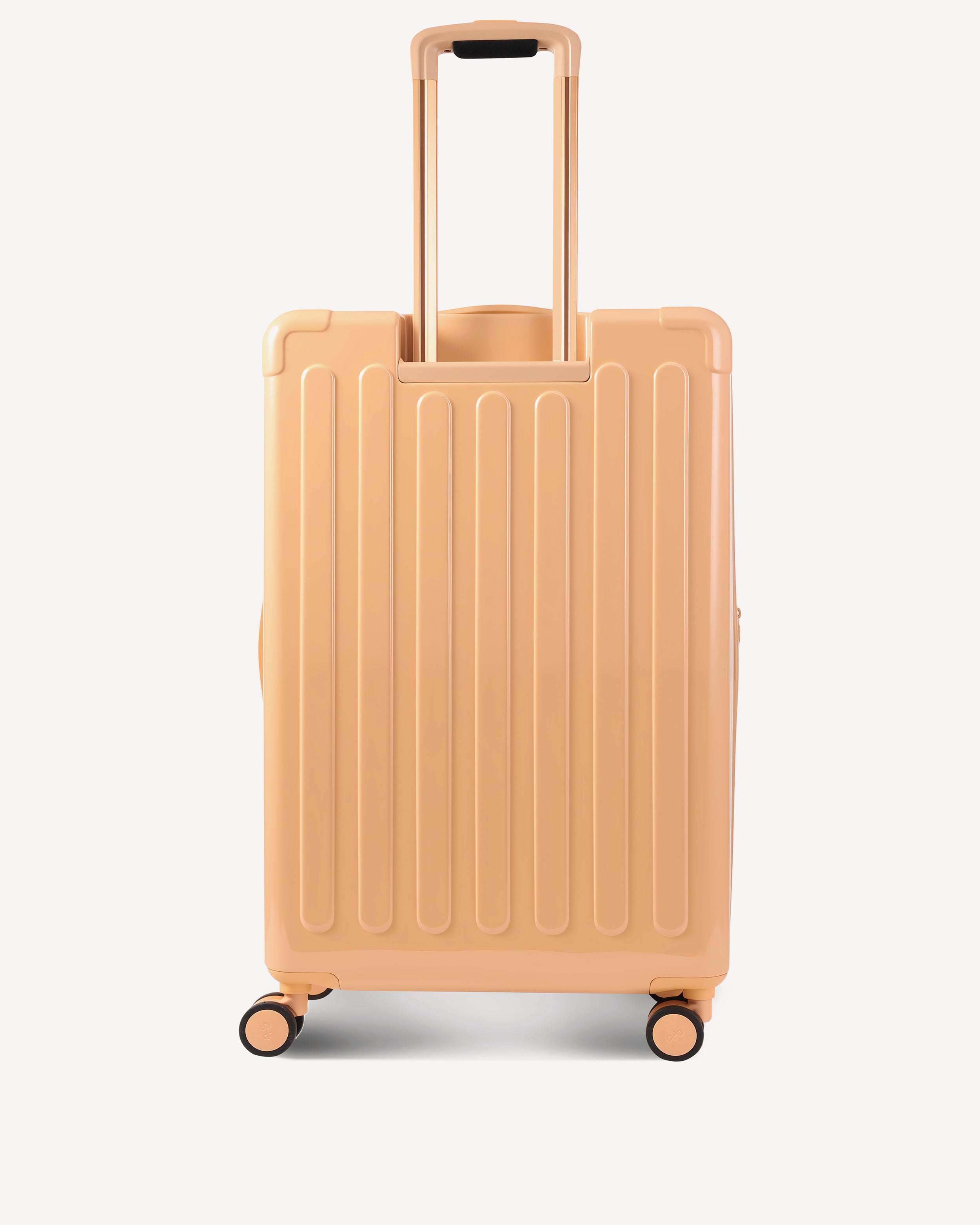 GLOSSY LARGE SPINNER