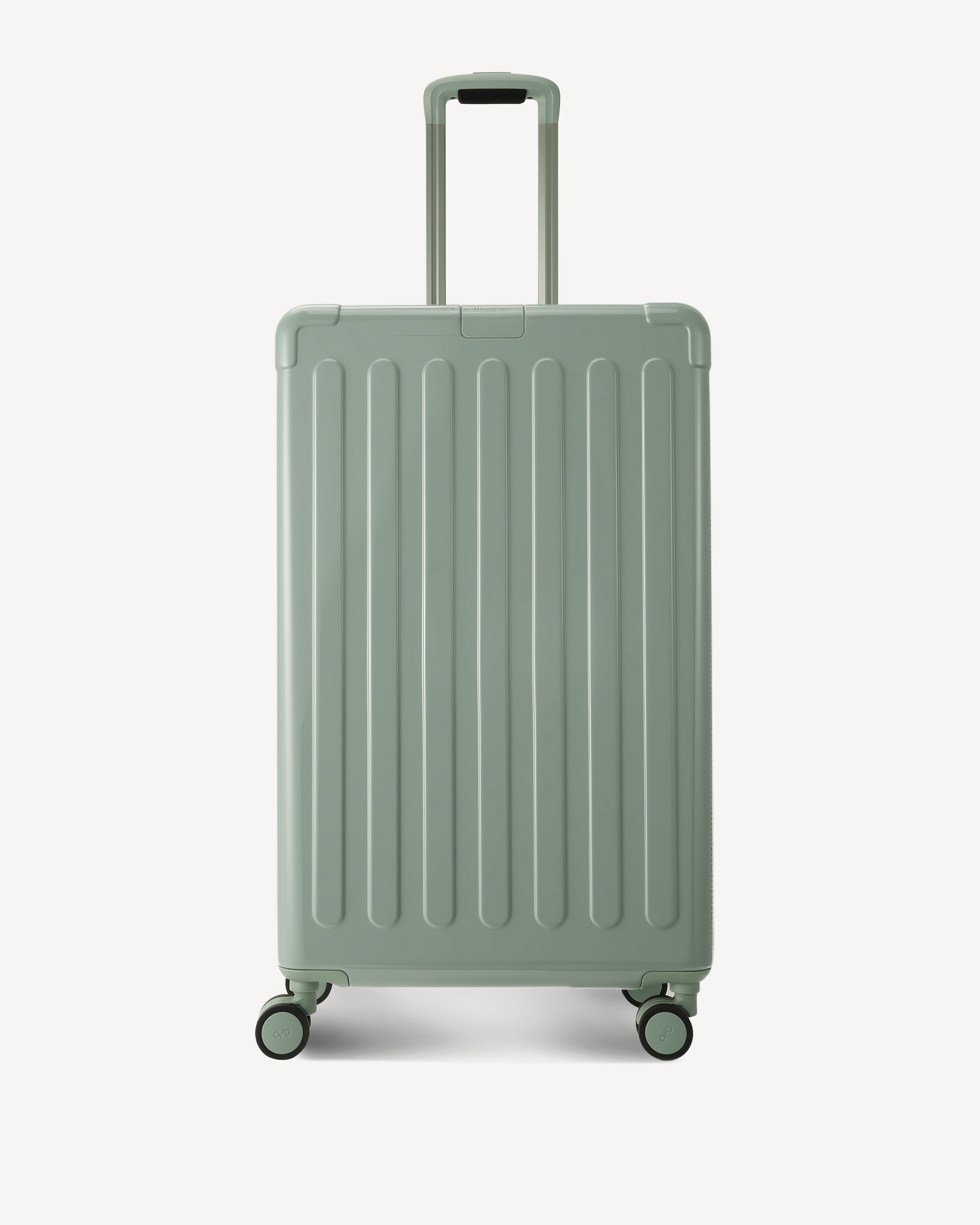 GLOSSY LARGE SPINNER