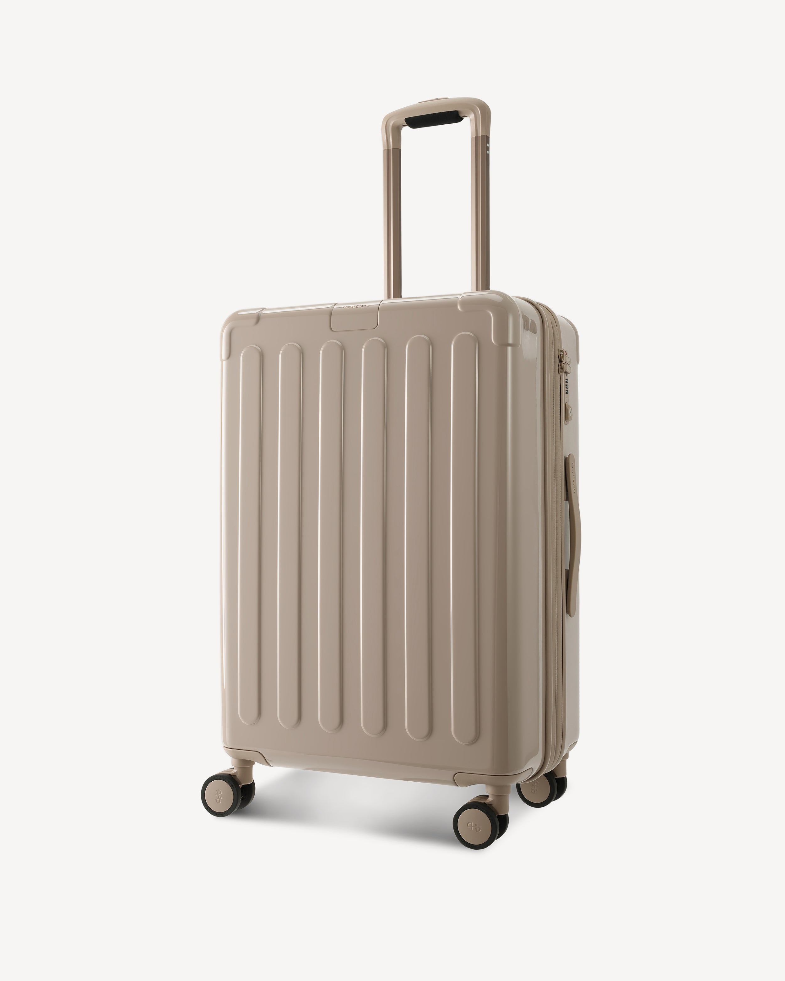 GLOSSY MEDIUM SPINNER