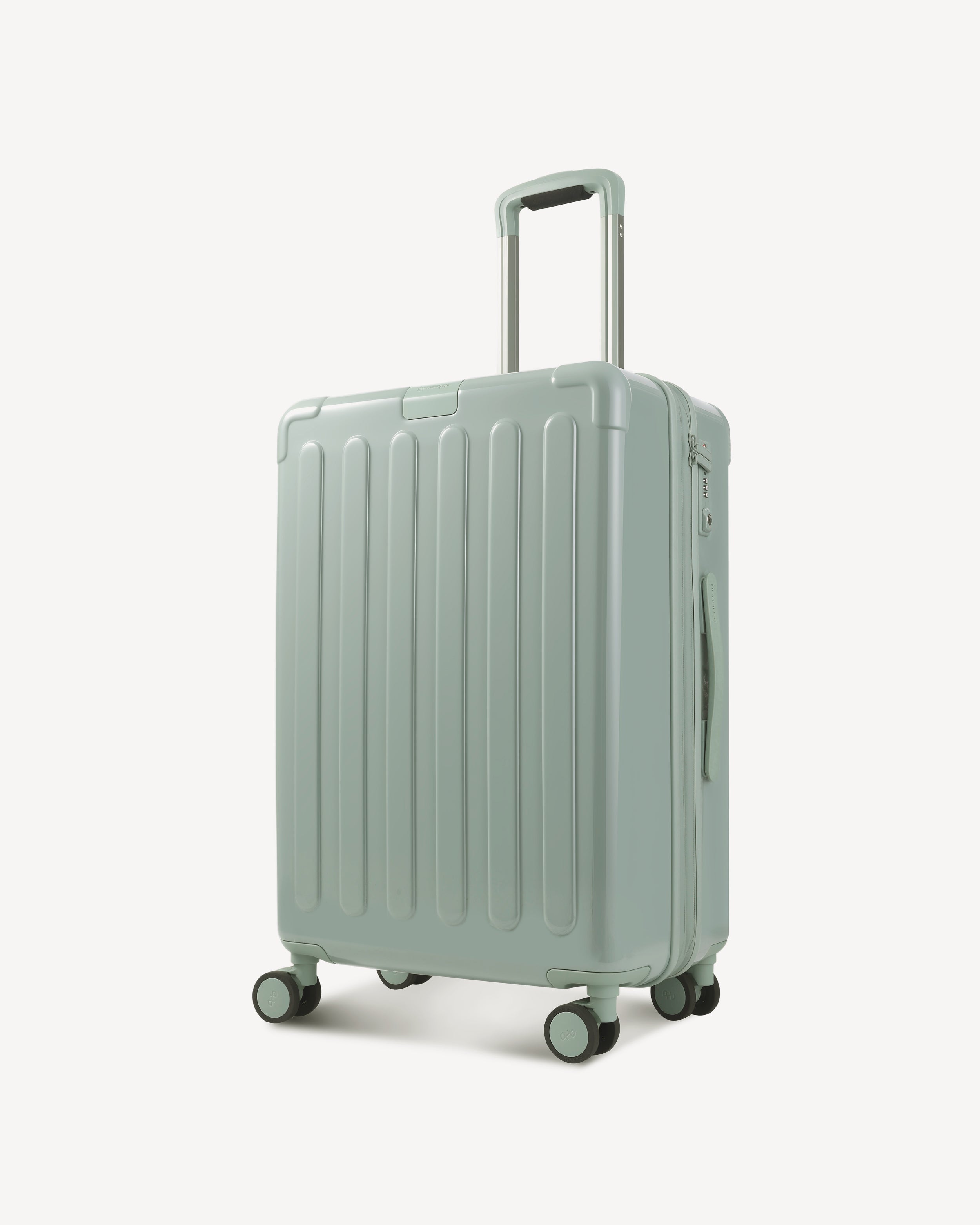 GLOSSY MEDIUM SPINNER