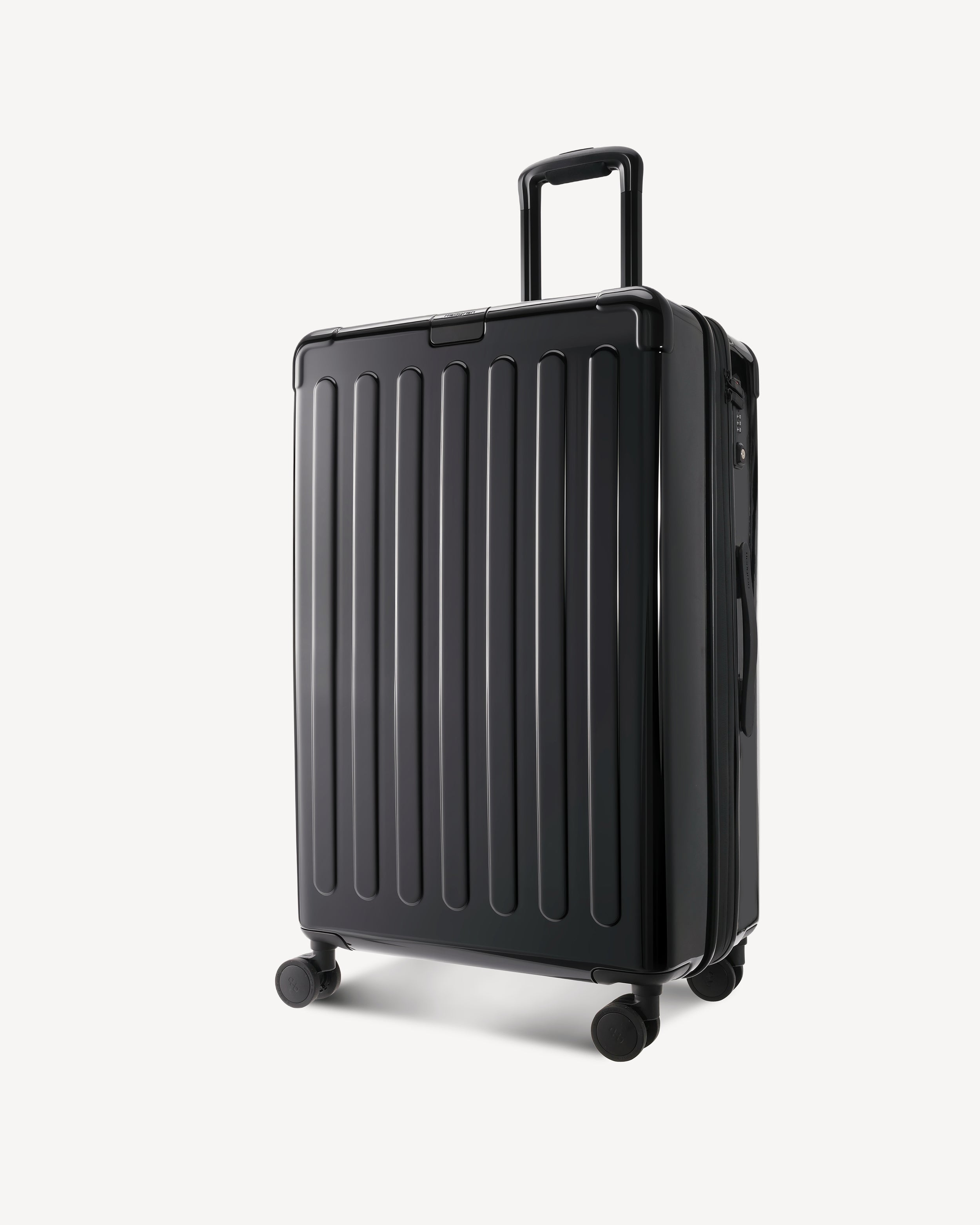 GLOSSY LARGE SPINNER