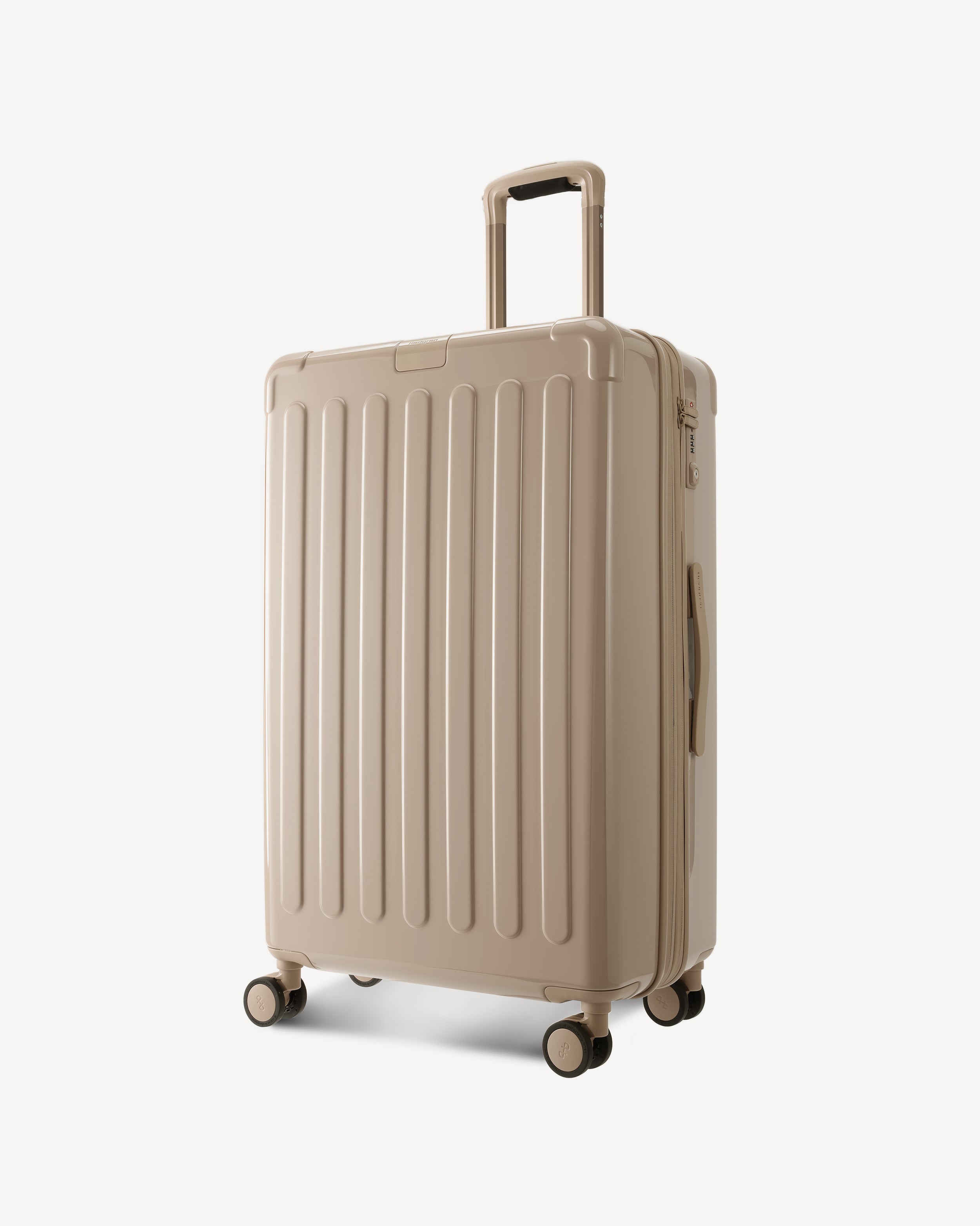 GLOSSY LARGE SPINNER