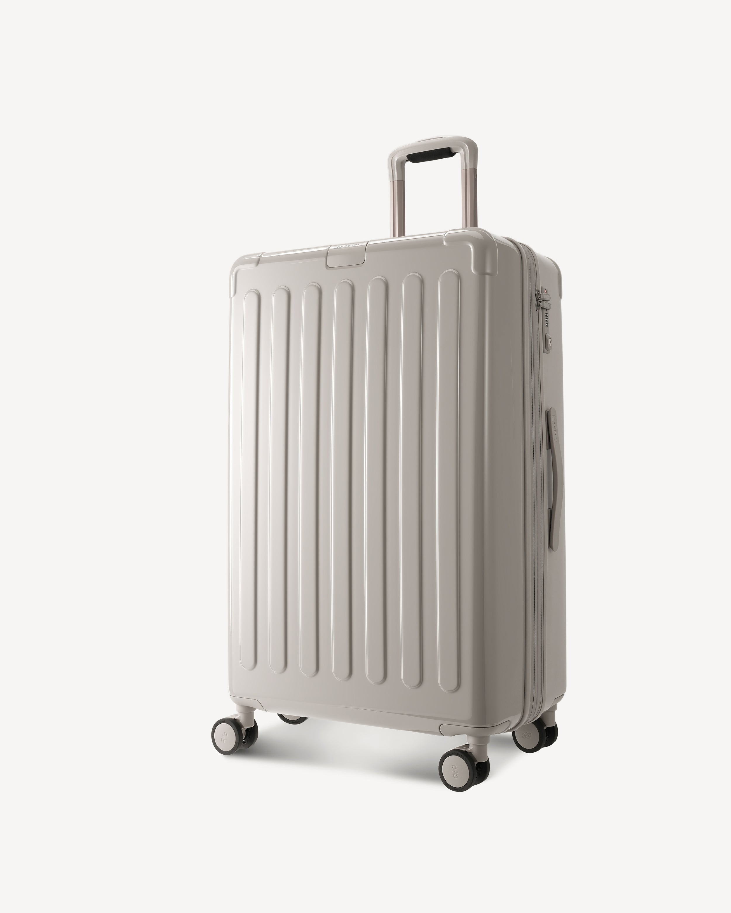 GLOSSY LARGE SPINNER