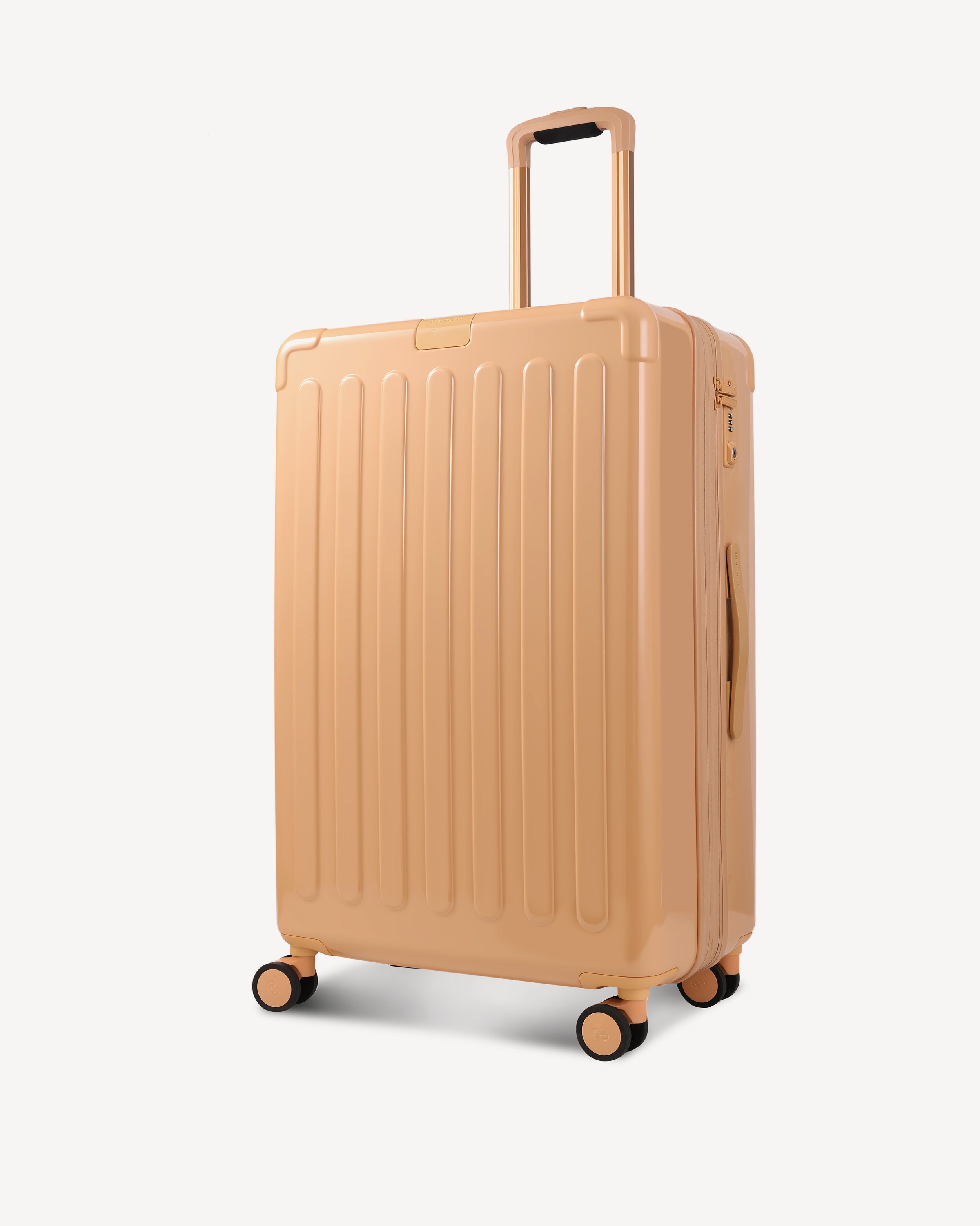 GLOSSY LARGE SPINNER