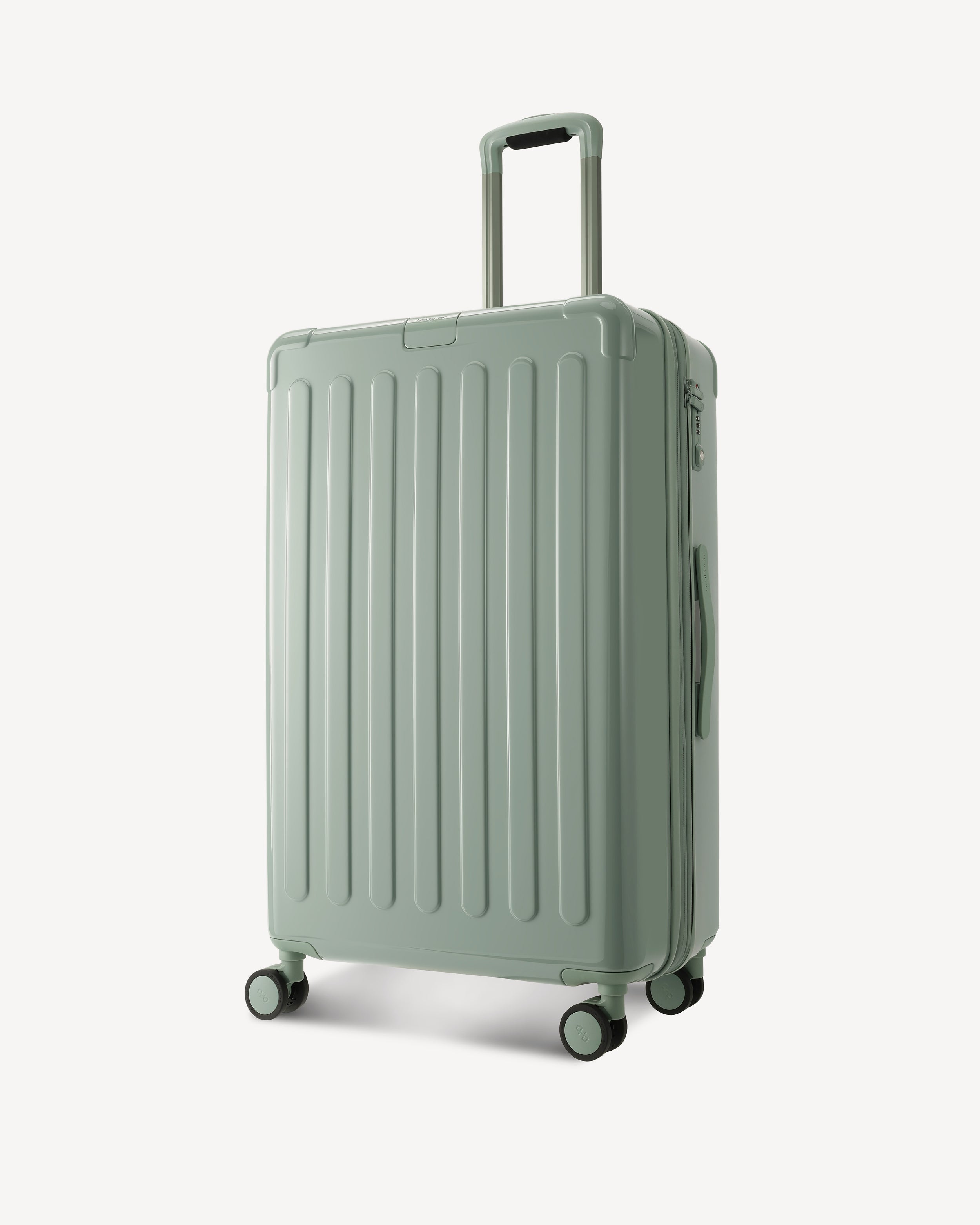 GLOSSY LARGE SPINNER