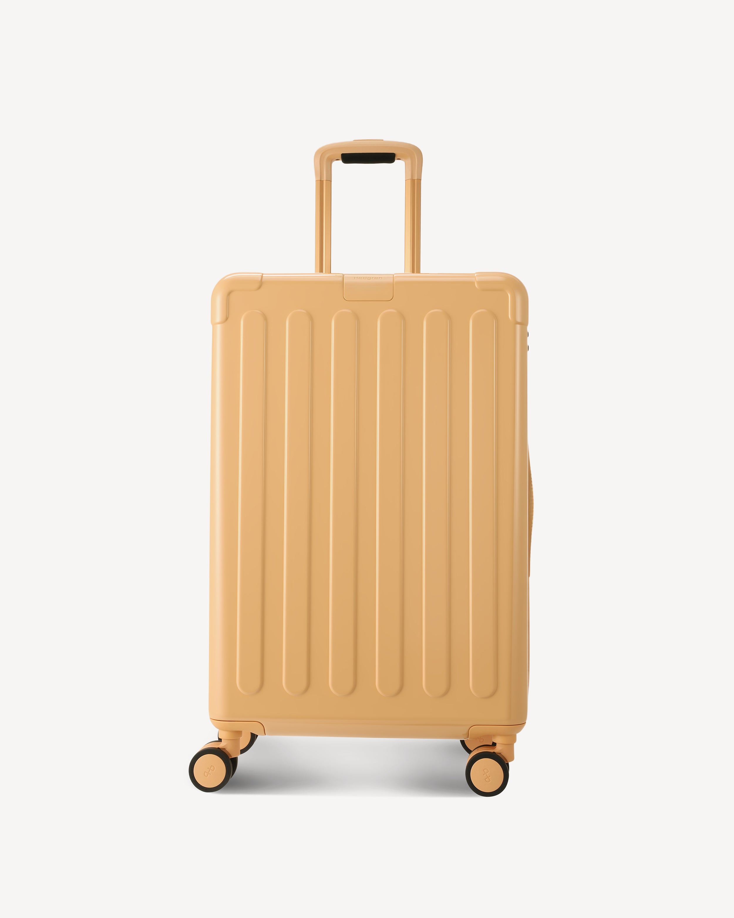 GLOSSY MEDIUM SPINNER