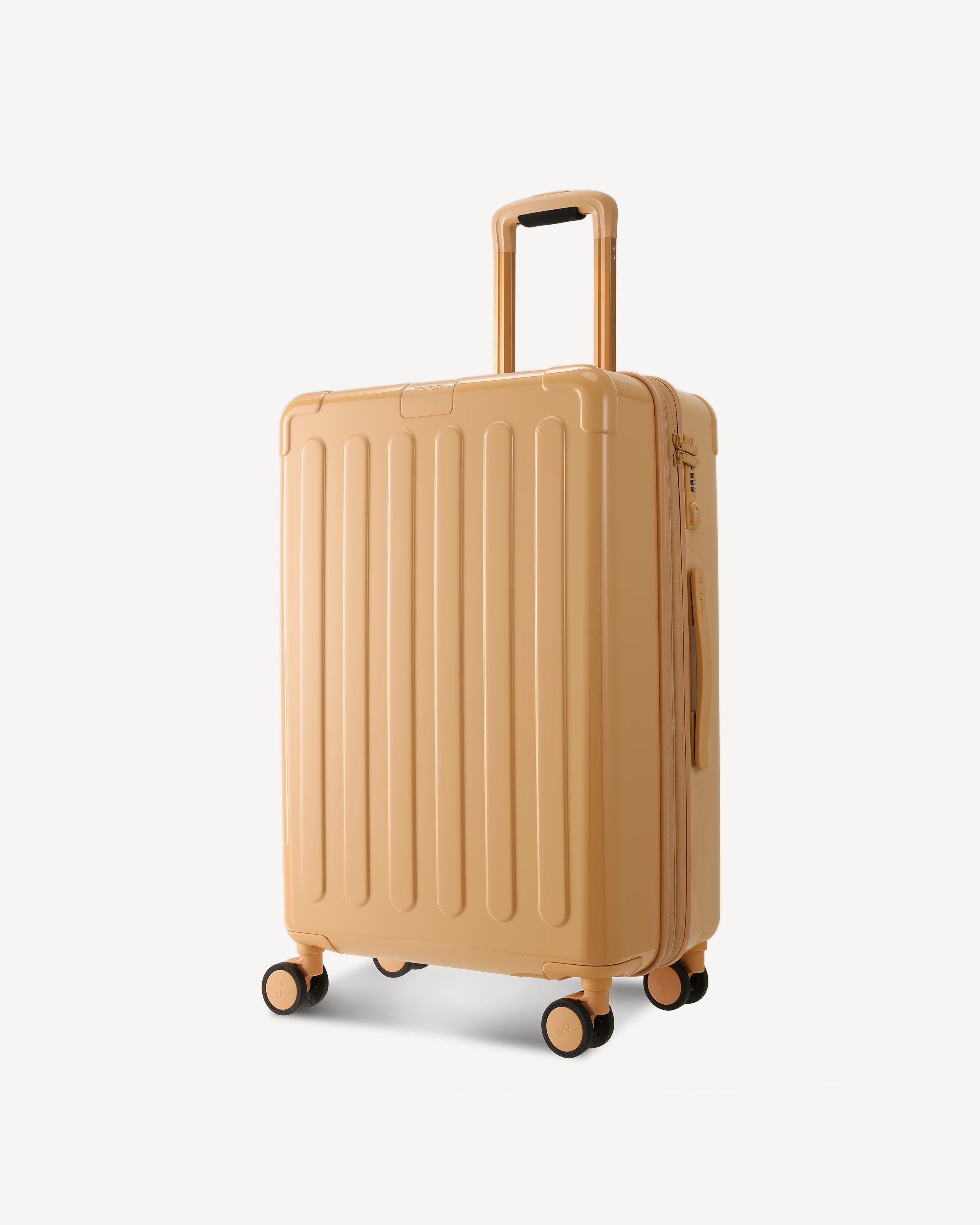 GLOSSY MEDIUM SPINNER