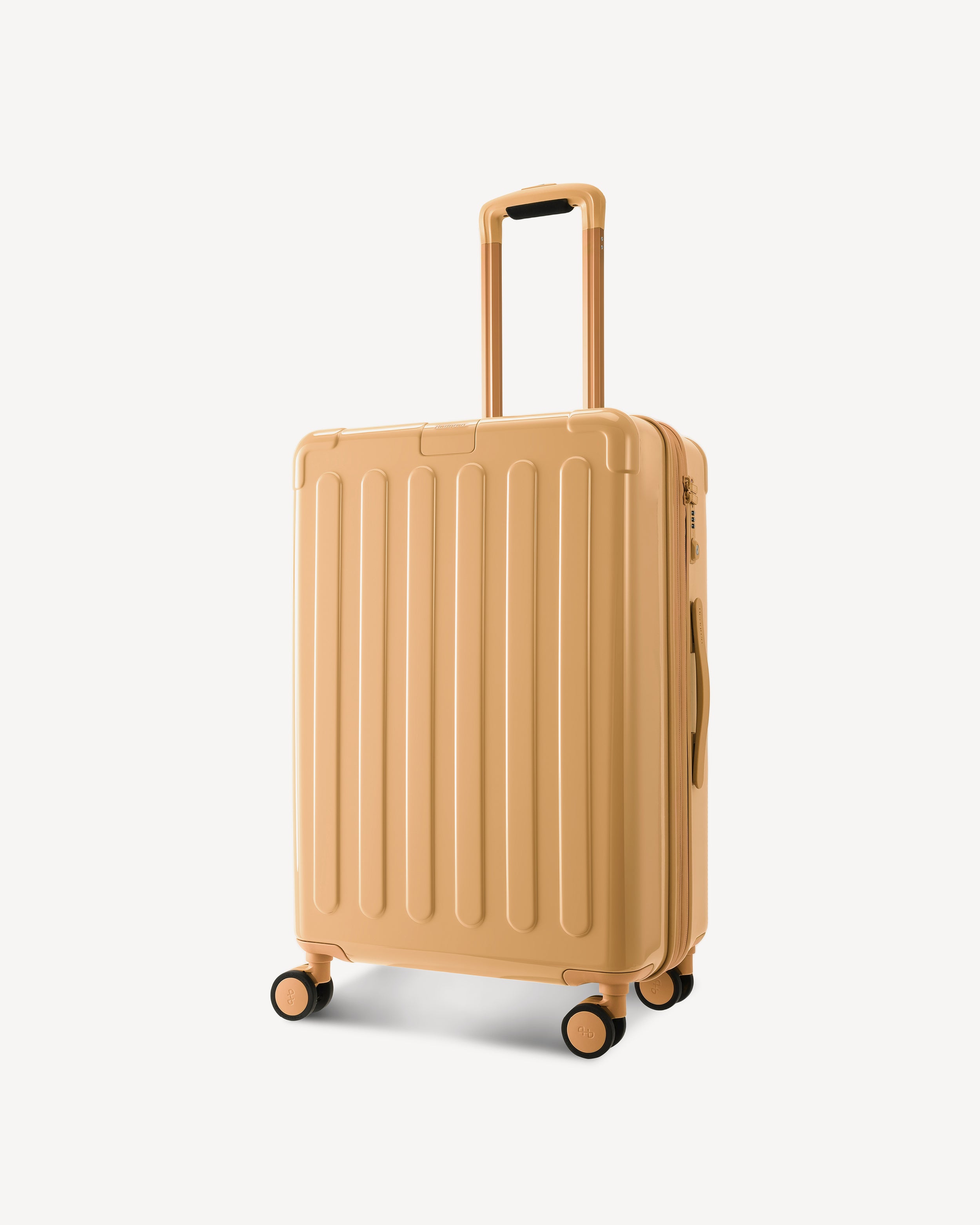 GLOSSY CARRY ON SPINNER